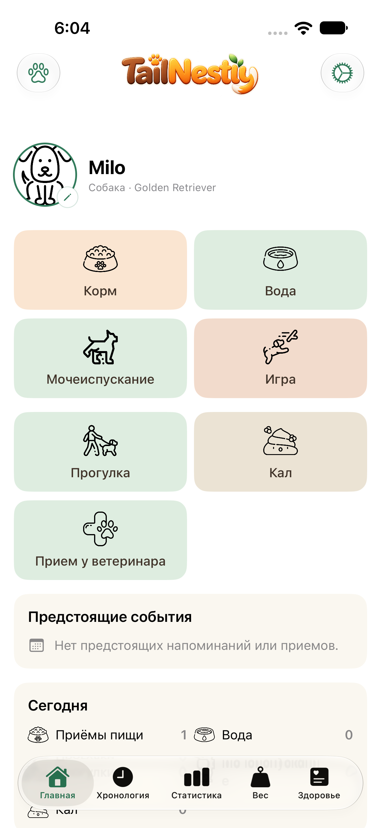 Главная · TailNestly